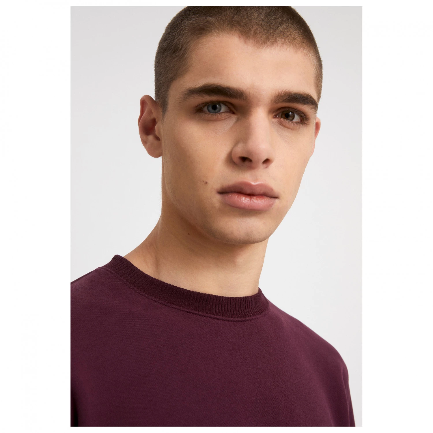 ARMEDANGELS - Maalte Comfort - Pull 5 ARMEDANGELS - Maalte Comfort - Pull – Image 5