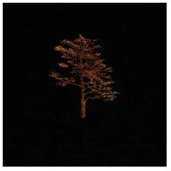 Kultgut - Tree - Pull -Pulls Soldes kultgut tree pull detail 4